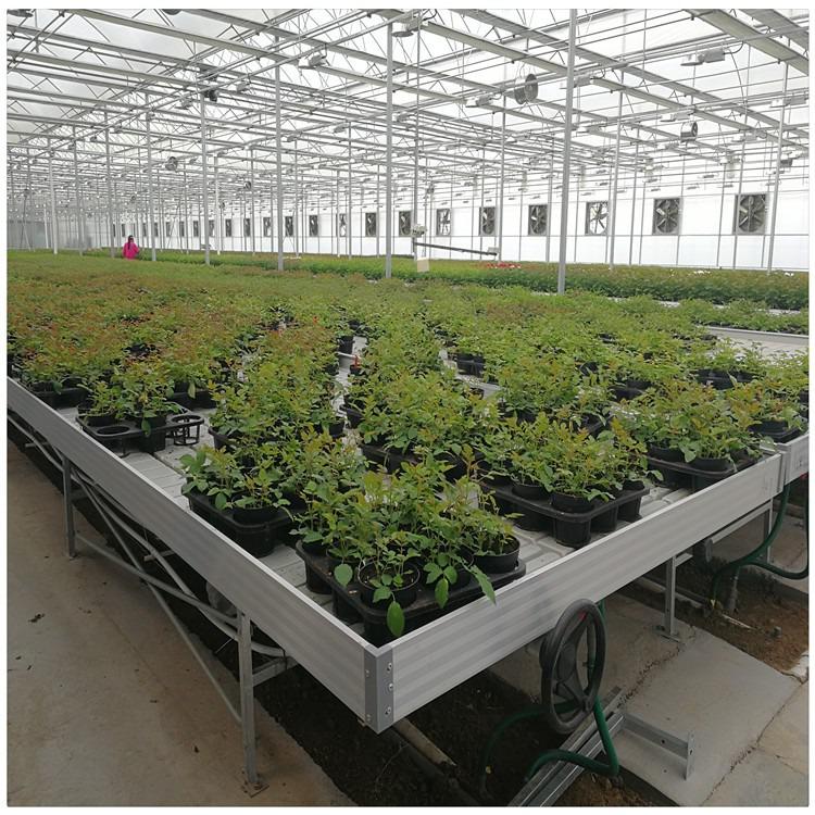 不是什么植物都適用于潮汐苗床的？